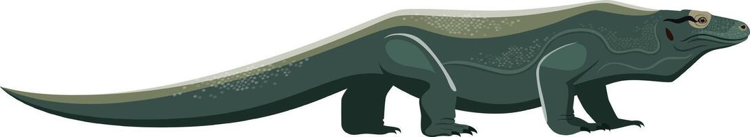 Komodo dragon, or komodo monitor, a large lizard species from indonesia, standing and gazing forward in a minimalist illustration vector