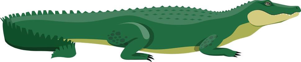 Large, scaly green crocodile resting in profile, showcasing its spiky tail and powerful legs, emphasizing the creature's formidable presence in a captivating illustration vector