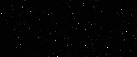 dust floating over black background vector