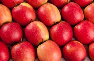 Red apples for sale photo