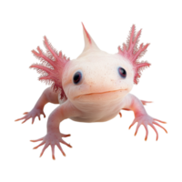 An axolotl is standing on its hind legs png