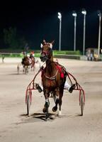 A horse pulling a cart on a track photo