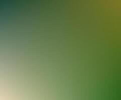 Blurred, defocused abstract backgrounds with smooth color transitions and a vibrant rainbow effect. Ideal for adding a colorful touch to any design. vector