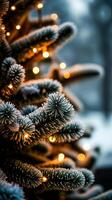 frosted pine branches with warm string lights photo