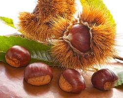A bunch of chestnuts and leaves on a table photo