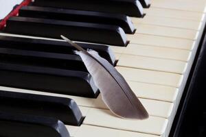 A feather on the piano keyboard photo