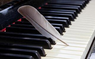 A feather on a piano keyboard photo