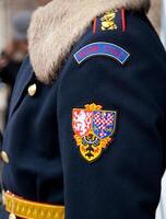 Hradni Straz is a formal military guard protecting the czech president. photo