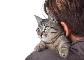 Cat and woman on a white background photo