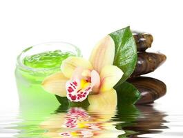 Green cream with orchid and stones photo