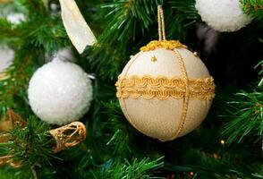 Christmas ball on christmas tree photo