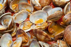 Clams in marinara sauce photo