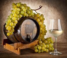 White wine with grapes and barrel photo
