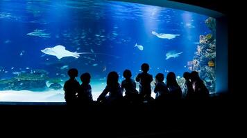 A group of people are looking at an aquarium photo