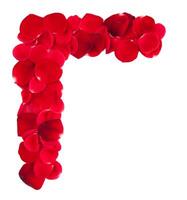 Rose petals corner frame photo