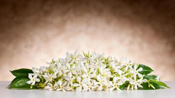 Jasmine flowers on white table and beige background photo