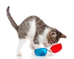 Puppy cat with 3d glasses photo