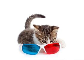 Puppy cat with 3d glasses photo