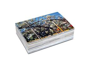 Pile of photos