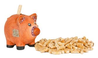 Wood pellets with piggy bank photo