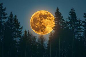 Full Moon Rising Over Forest Silhouette for Nighttime Tranquility and Mystical Concepts photo