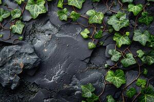 Lush Ivy on Dark Stone Surface - Nature Texture for Background and Design photo