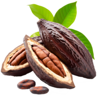 Cocoa on isolated background png