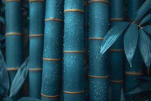 Tranquil Bamboo Forest with Dew-Kissed Stalks for Serenity and Nature Themes photo