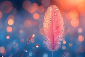 Ethereal Feather with Dewdrops Amidst Bokeh, Perfect for Nature-Themed Designs photo