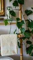 a modern washbasin, potted plant, and stacked towels on a white marble countertop, complemented by a wooden rack on the adjacent wall. photo