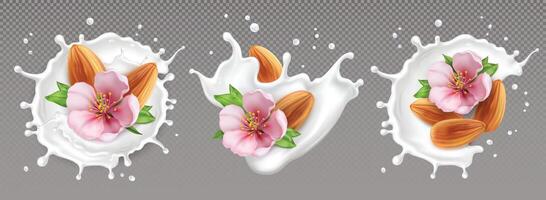 Almond milk, nuts and flower compositions on gray background vector