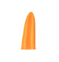 Front view of orange carrot slice or piece in half isolated with clipping path in file format png