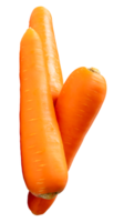 Three fresh orange carrot roots in stack isolated with clipping path in file format png