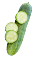 Side view of fresh green cucumber with slices in circle shape in stack isolated in file format png