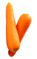 Side view of two fresh orange carrot roots in stack isolated with clipping path in file format png