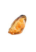 Top view of steamed or cooked delicious green mussel meat isolated with clipping path in file format png