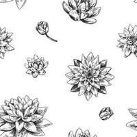 Retro water lily seamless pattern. Monochrome ornament of lotus flowers. Botanical design retro style. vector