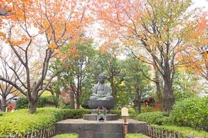 A buddha statue in a garden surrounded by trees photo