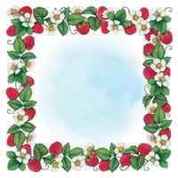 cute watercolor ha nd drawn raspberry frame vector