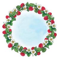 cute watercolor ha nd drawn raspberry frame vector