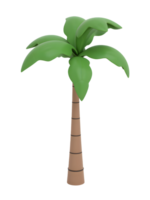 isolated realistic palm tree in the summer png