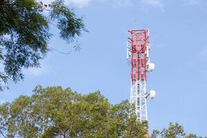 A tower with a cell phone on top of a tree photo