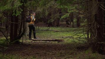 Sports and recreation hiking concept. A man with a backpack travels through a beautiful forest. Carpathian mountain range. Ukraine. 4K video
