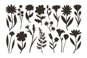 Linear Blossoms A Study in Simplicity vector