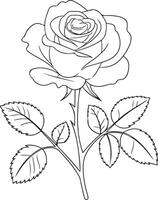 Timeless Grace Rose Line Illustration vector