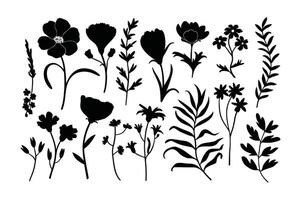 Bloom in Lines Artistic Floral Expressions vector