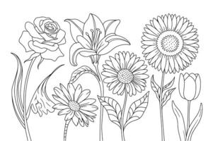 Botanical Contours A Linear Journey vector