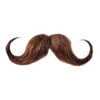 Quirky Brown Mustache With Exaggerated Curls Displayed on Isolated Background png