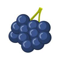 Grape Fruit Illustration vector