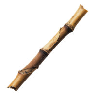 A single worn twig with bark removed, laying on a white background, highlighting natural textures and earthy tones png